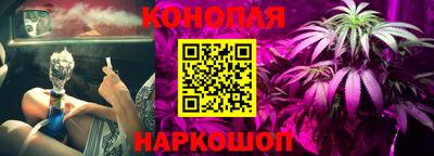 прущие грибы Ливны