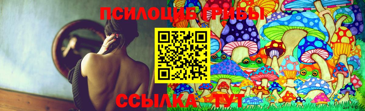 Галлюциногенные грибы GOLDEN TEACHER  Вход с VPN  Вятские Поляны  Галлюциногенные грибы Psilocybe 